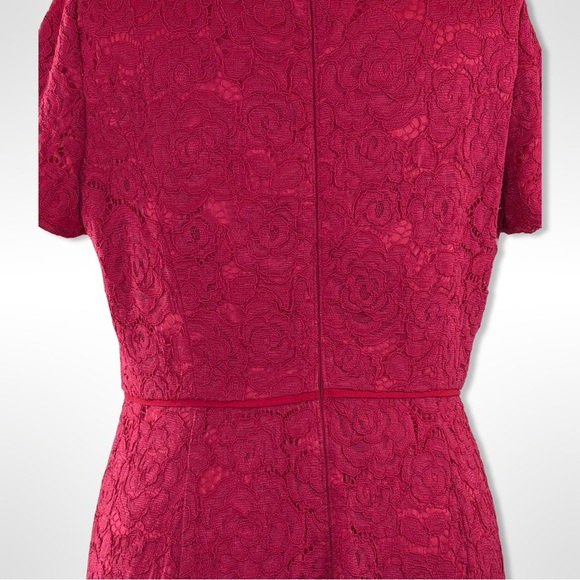 Adrianna Papell Cranberry Red Lace Midi Dress – Size 14 - Picture 6 of 9